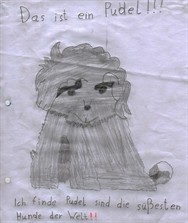 Hundeschule 2010038.jpg